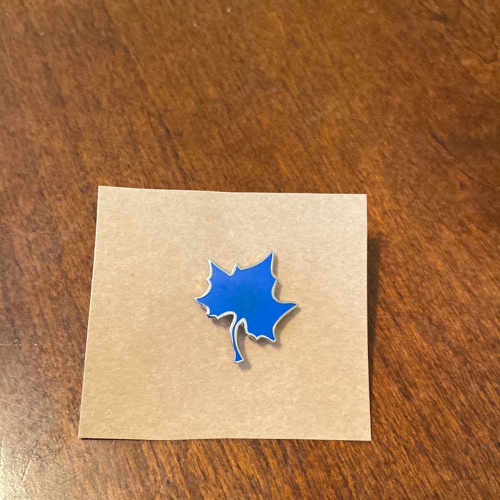 Indiana State pin